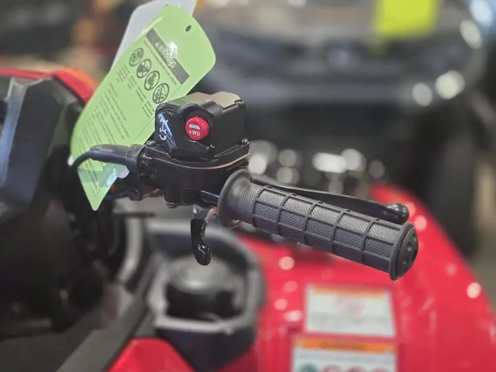 2025 Honda® Fourtrax Foreman Rubicon 4X4 Eps - Photo 18