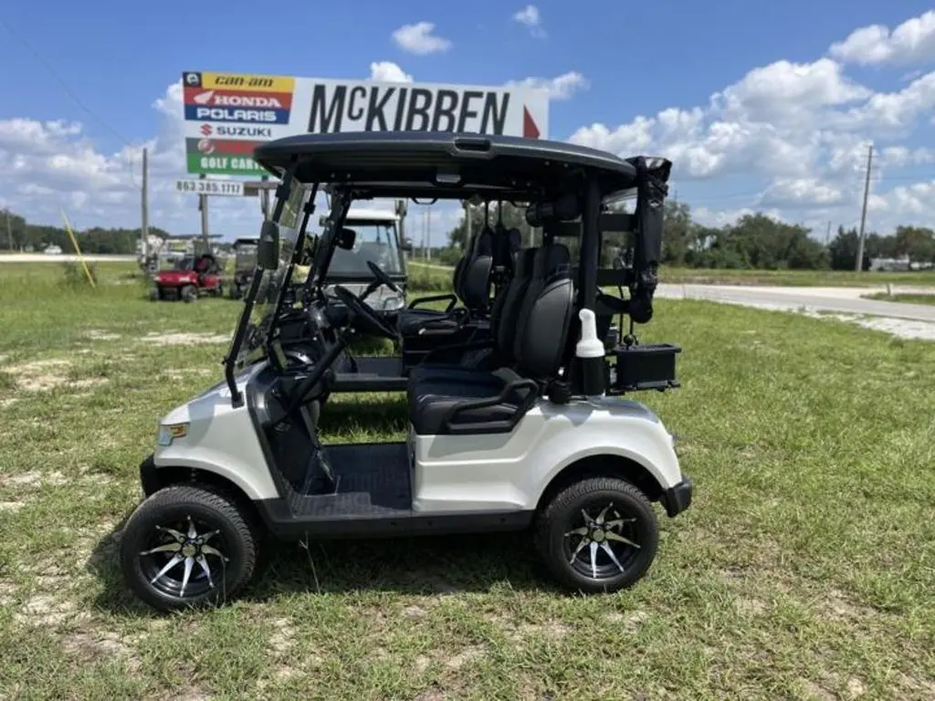 2024 Epic Carts E20 - Photo 3