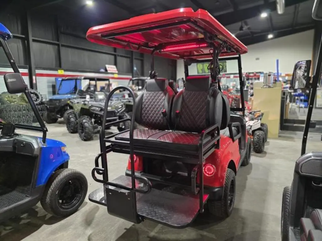 2024 Epic Carts E40 - Photo 6