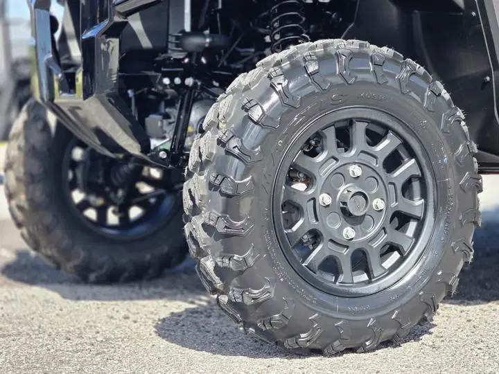 2025 Honda® Pioneer 1000-5 MCK Custom - Photo 3