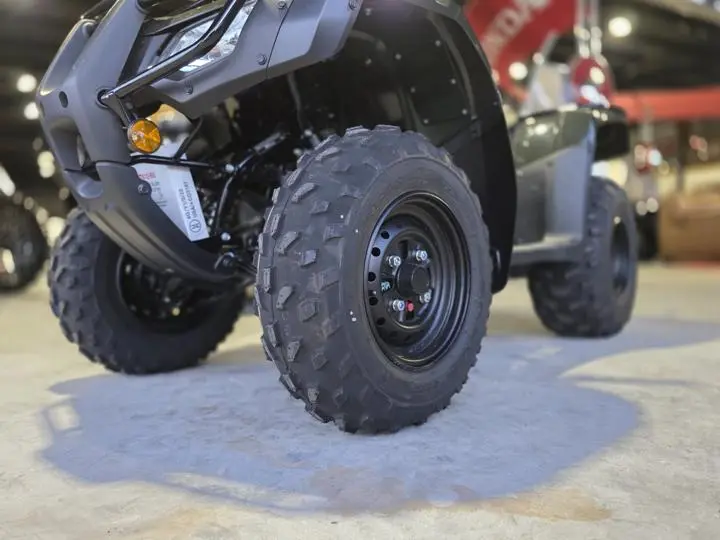 2025 Honda® Fourtrax Recon - Photo 3