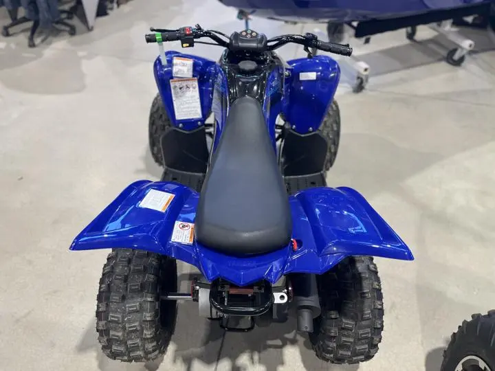 2025 Yamaha Raptor 110 - Photo 7