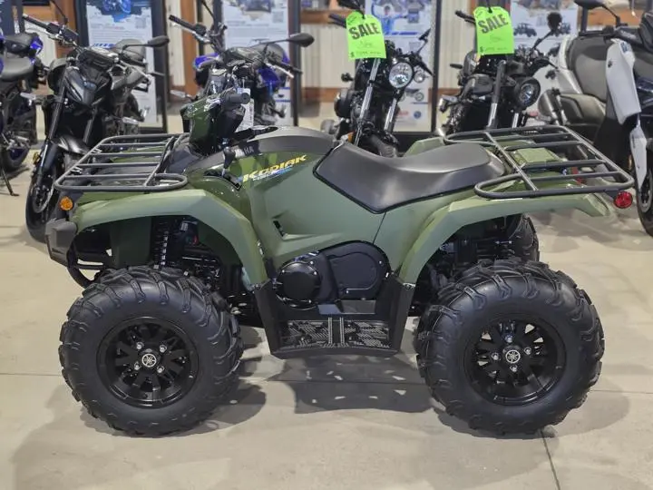 2025 Yamaha Kodiak 450 - Photo 5