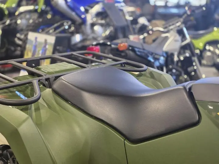 2025 Yamaha Kodiak 450 - Photo 12