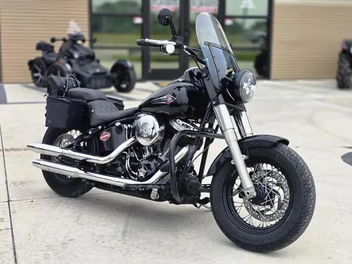 2015 Harley-Davidson® Fls - Softail Slim - Photo 10