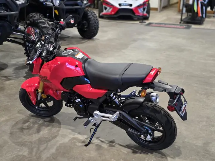 2025 Honda® Grom - Photo 6