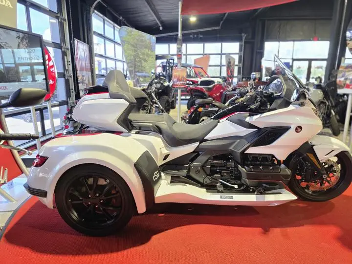 2024 Honda® Gold Wing Tour Automatic Dct Trike - Photo 10