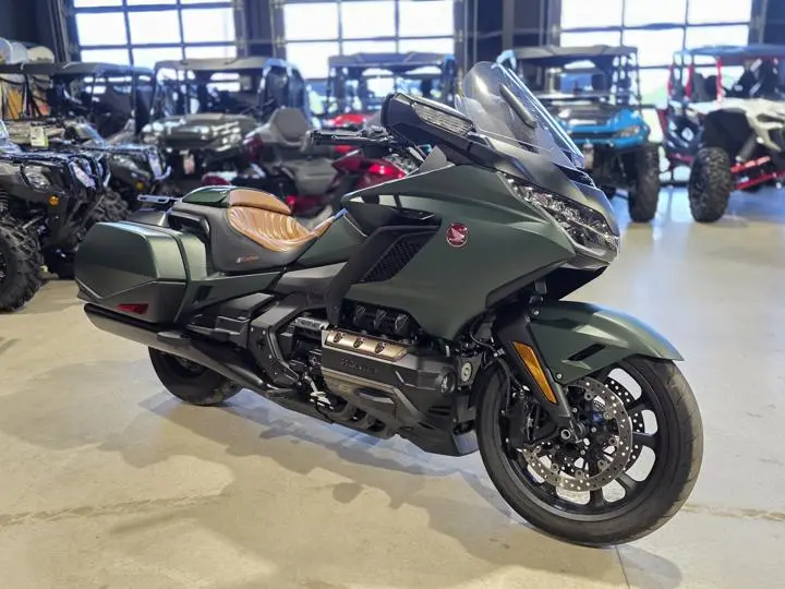 2024 Honda® Gold Wing Automatic Dct - Photo 9
