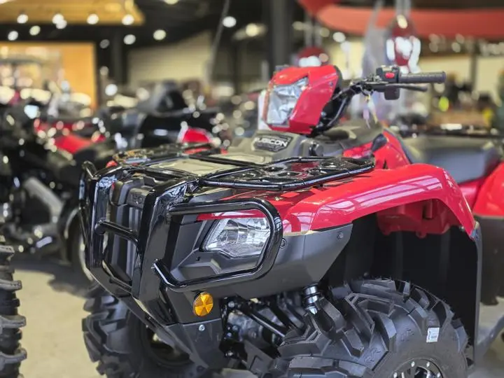2025 Honda® Fourtrax Foreman Rubicon 4x4 Automatic Dct Eps - Photo 4