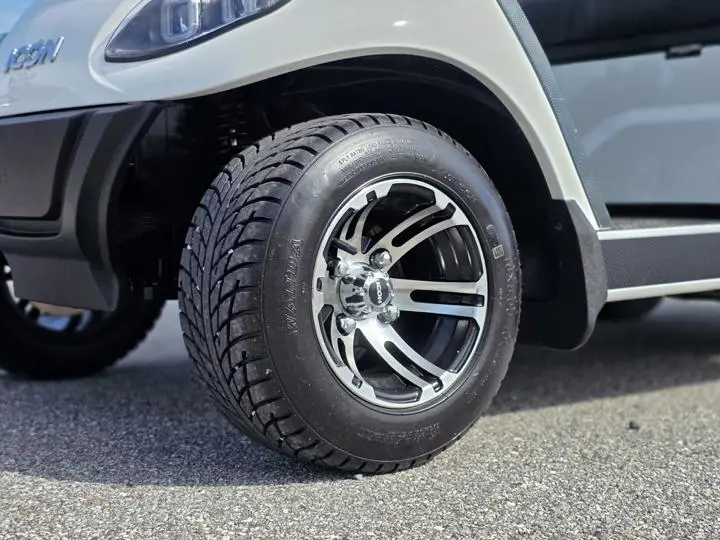 2024 Icon EV G40 - Photo 3