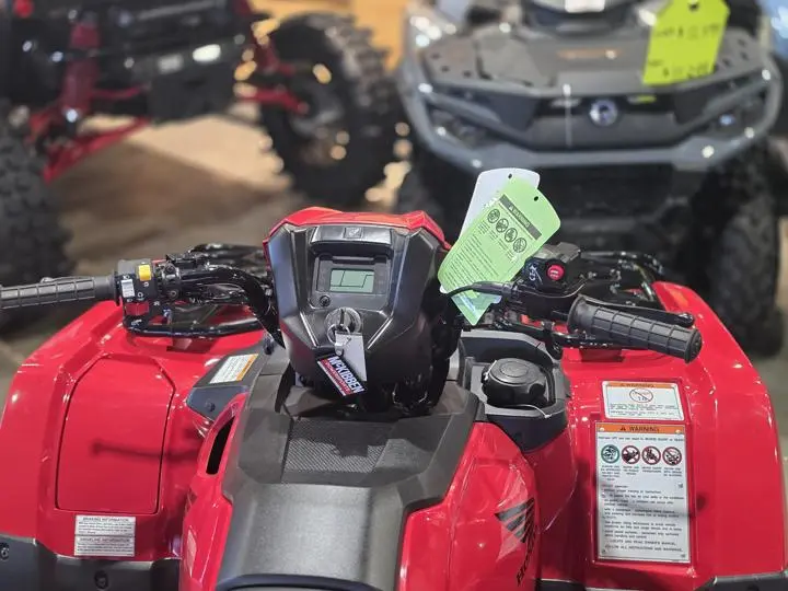2025 Honda® Fourtrax Foreman Rubicon 4X4 Eps - Photo 20