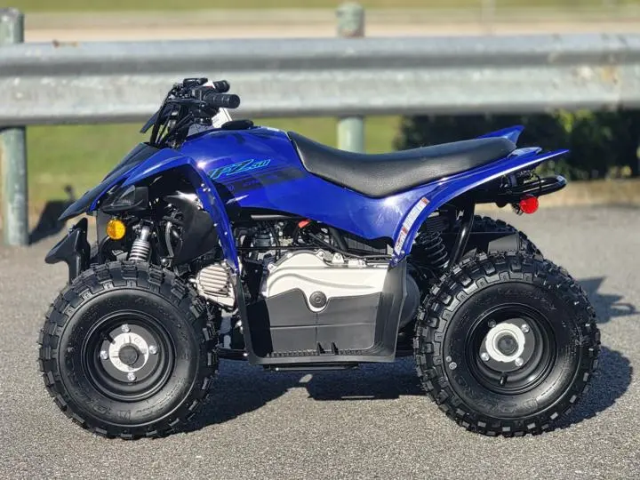 2025 Yamaha Yfz50 - Photo 6