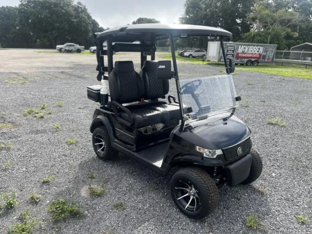 2024 Epic Carts E20 - Photo 12