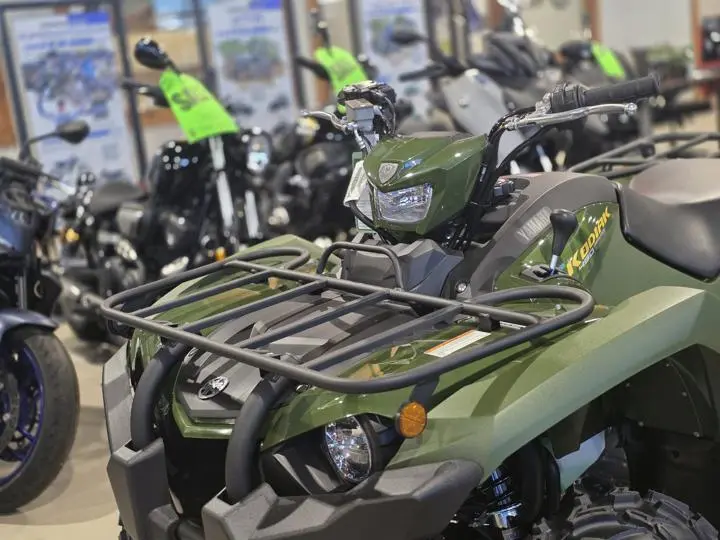 2025 Yamaha Kodiak 450 - Photo 4