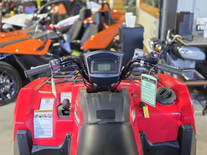 2024 Suzuki Kingquad 750axi - Photo 17