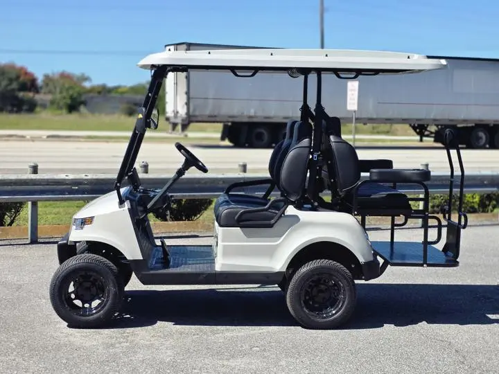 2025 Epic Carts E40 - Photo 5