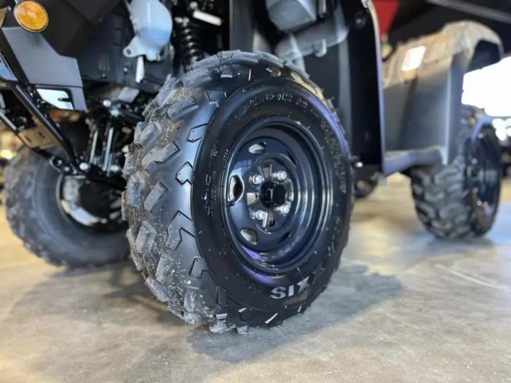 2025 Honda® FourTrax Foreman Rubicon 4x4 Automatic DCT EPS TrueTimber Atera Camo - Photo 3