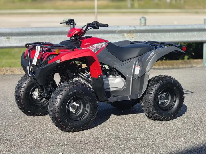 2025 Yamaha Grizzly 110 - Photo 2