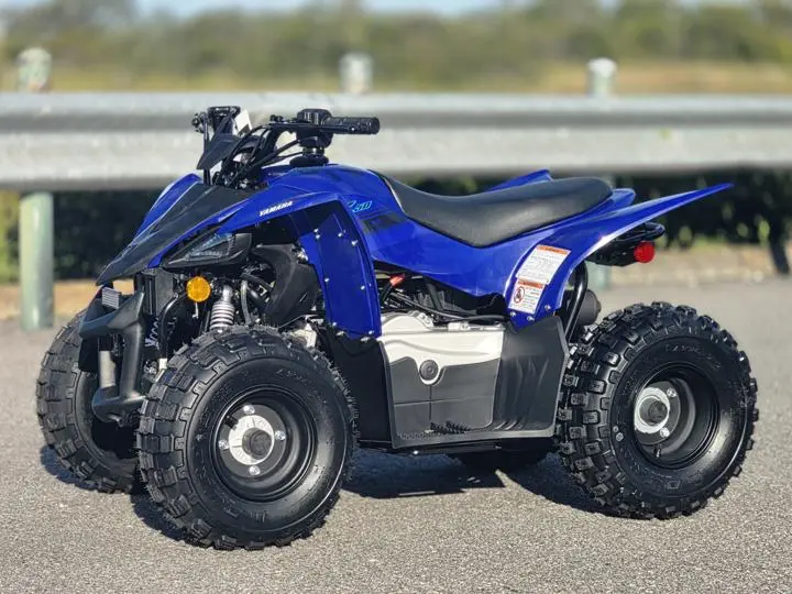 2025 Yamaha Yfz50 - Photo 2