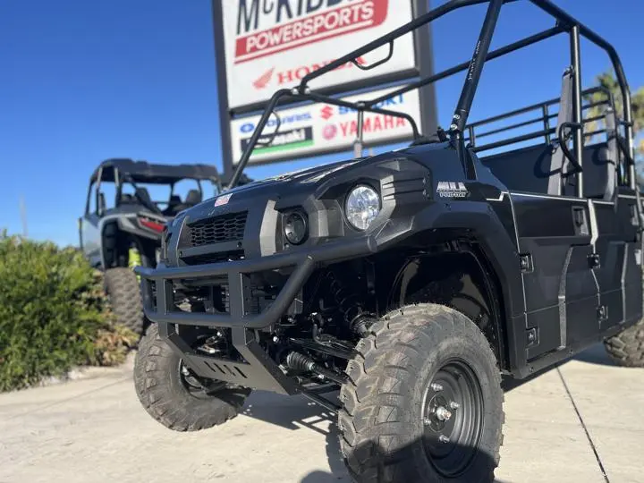 2025 Kawasaki MULE PRO-DXT EPS - Photo 4