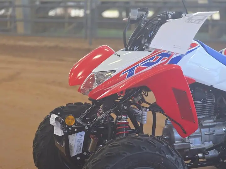 2025 Honda® Trx250x - Photo 4