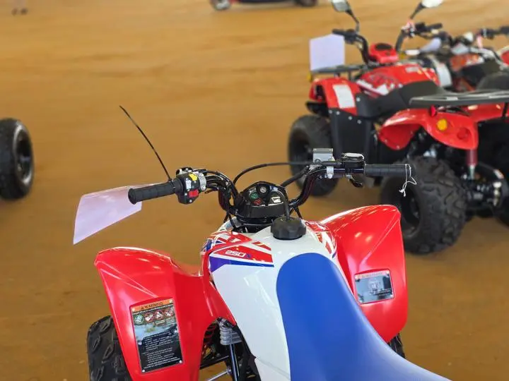 2025 Honda® Trx250x - Photo 15