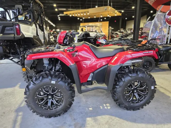 2025 Honda® Fourtrax Foreman Rubicon 4x4 Automatic Dct Eps - Photo 6