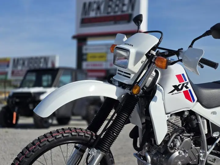 2025 Honda® Xr650l - Photo 4