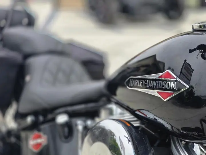 2015 Harley-Davidson® Fls - Softail Slim - Photo 11