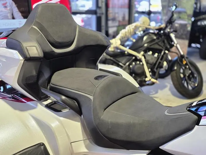 2024 Honda® Gold Wing Tour Automatic Dct Trike - Photo 13