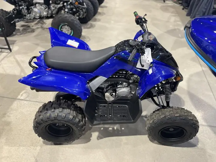 2025 Yamaha Raptor 110 - Photo 9