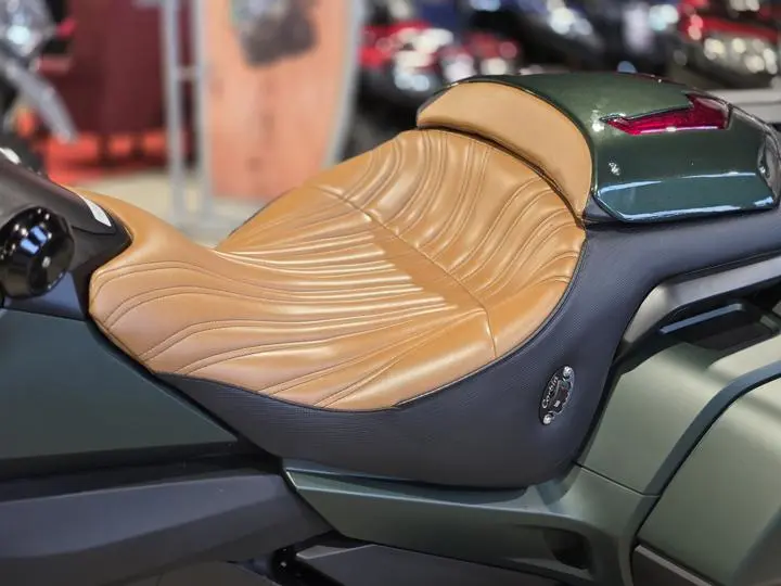 2024 Honda® Gold Wing Automatic Dct - Photo 13