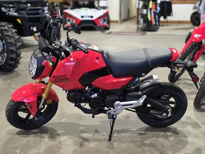 2025 Honda® Grom - Photo 5