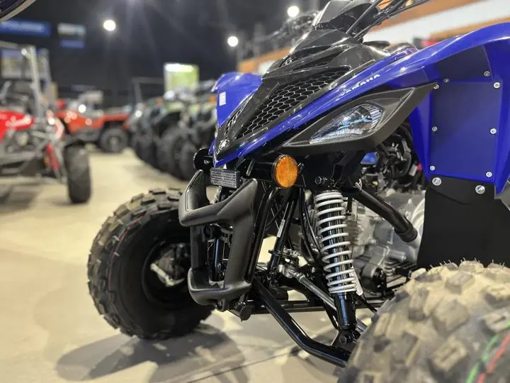 2025 Yamaha Raptor 110 - Photo 4
