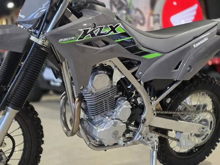 2025 Kawasaki Klx230r S - Photo 5