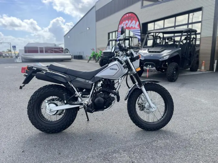 2025 Yamaha Tw200 - Photo 9