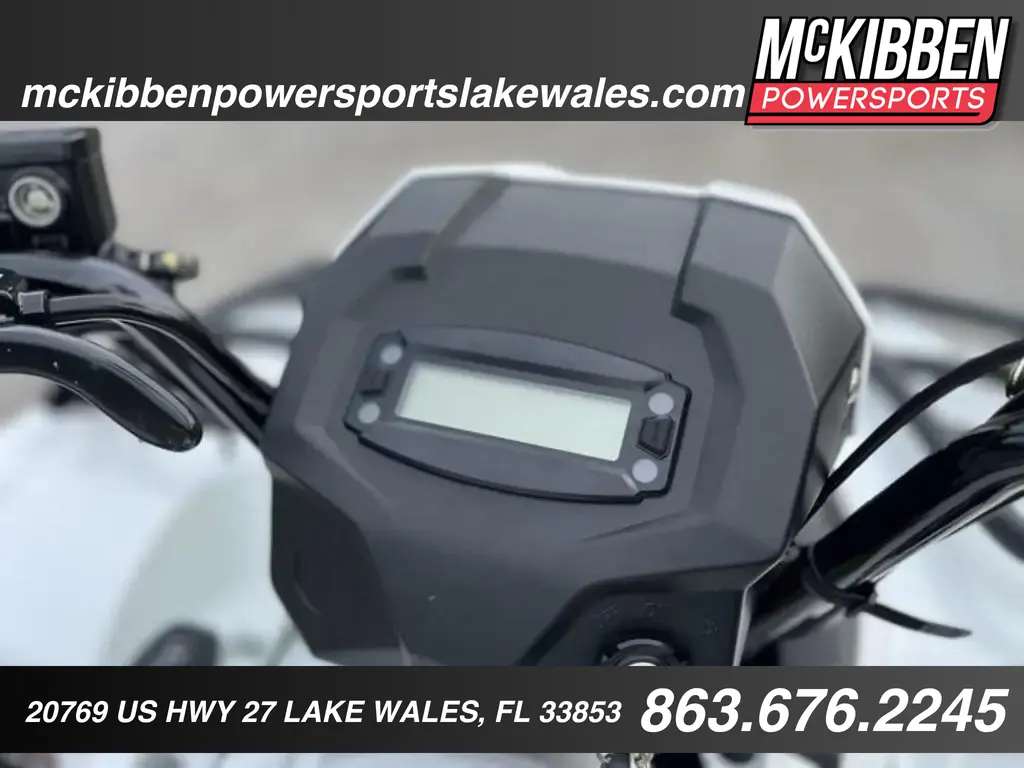 2025 Kawasaki Brute Force 450 4x4 - Photo 18