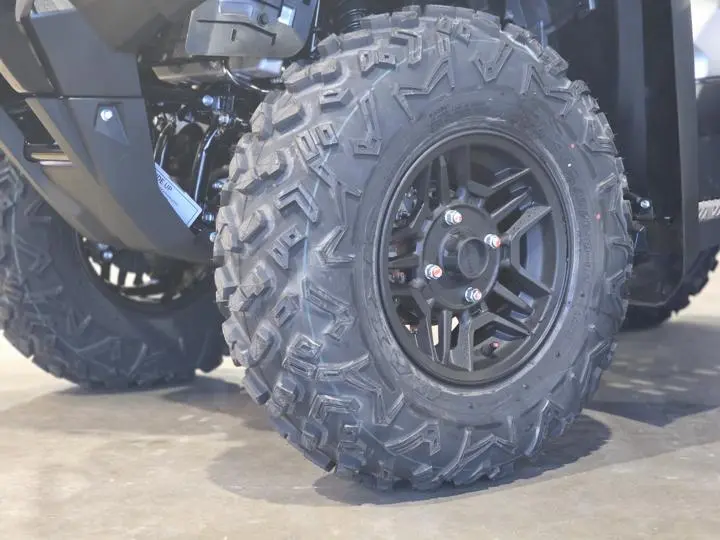 2025 Honda® Fourtrax Rubicon 700 4x4 Automatic Matte Silver Metallic - Photo 3