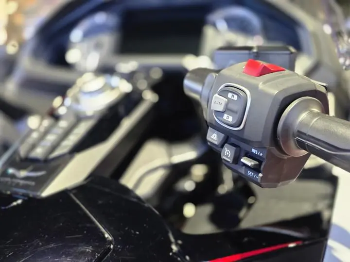 2024 Honda® Gold Wing Tour Automatic Dct Trike - Photo 15