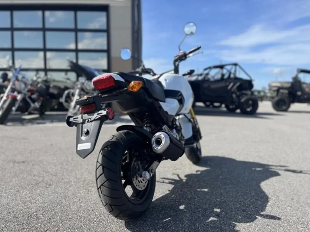 2025 Honda® Grom ABS - Photo 5