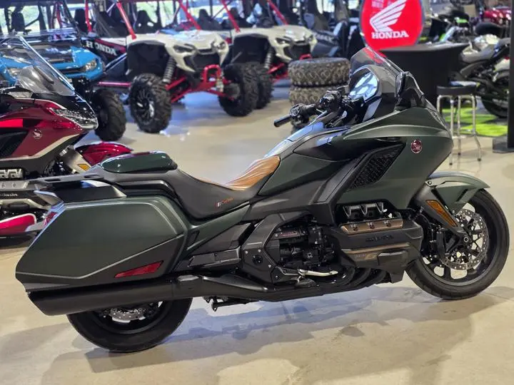 2024 Honda® Gold Wing Automatic Dct - Photo 8