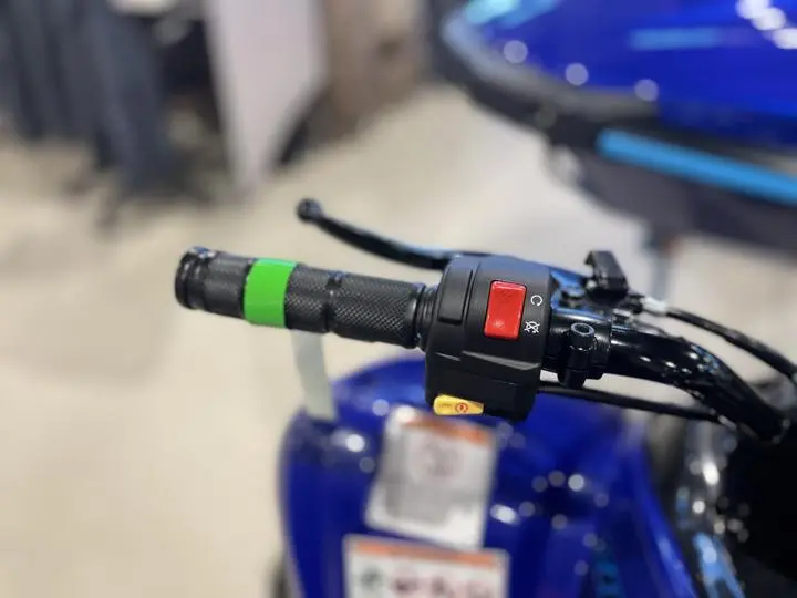 2025 Yamaha Raptor 110 - Photo 12