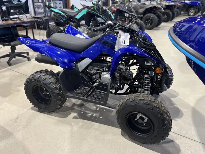 2025 Yamaha Raptor 110 - Photo 10